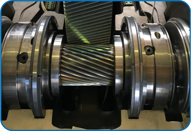 Rack and pinion gear system